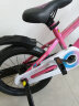 永久（FOREVER）自行车儿童单车小孩16寸脚踏车4-6岁童车学生车山地车粉色 实拍图