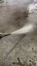 梦多福德国高压洗车机家用洗车水枪商用220v清洗机大功率刷车泵洗车神器 3800W 【旗舰款】13米水管 +短枪 德系涡轮增压泵卷轴便携式收纳家用商用强力洗地机 实拍图