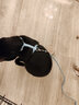 华元宠具（hoopet）猫咪牵引绳防挣脱外出专用遛猫绳子溜猫链子宠物胸背带可调节背心 雾霾蓝-工字防挣脱 中号-建议体重5-7斤内 实拍图