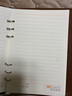 信发 TRNFA  TB-H307 办公高档笔记本高级商务记事本 仿皮复古挂坠活页记事薄办公文具（灰色）23.5*17cm 实拍图