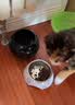 柒哦狗碗狗盆防打翻不锈钢猫碗食盆喂食喝水宠物狗粮猫粮猫咪饭盆 双层萌萌鸭-打翻可退 S（适合5斤内猫狗 ） 实拍图