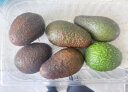 京鲜生秘鲁进口牛油果  中果8粒装  单果重130g起 生鲜 新鲜水果 实拍图
