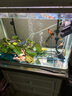 Atman鱼缸过滤桶 水族箱水草缸外置过滤器净水循环过滤设备CF过滤桶 CF-800 过滤桶【适用60-80cm鱼缸】 官方标配 实拍图