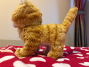IWAYA（I）日本电动玩具狗毛绒宠物动物玩具猫 儿童会走会叫吉娃娃柴犬金毛 苏格兰猫 实拍图