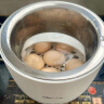 小熊（Bear）煮蛋器 蒸蛋器 智能定时 自动断电 小型不锈钢 防干烧 蒸煮鸡蛋一体机神器ZDQ-B06R2 实拍图