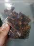 哈俏格（HAQIAOGE）正宗四川九寨沟风干牛肉干超干500g云南香格里拉牛肉干西藏特产 香辣250g+青花椒250g 实拍图
