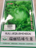 寿禾 生菜种子四季播紫色夏秋蔬菜莱种紫叶家庭种寿光菜籽叶菜种籽 （家庭种）结球生菜种子5g 实拍图