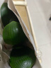 带盆带土6年大苗绿植盆栽 室内精品花卉 君子兰花苗 花卉室内花卉 鲜花花卉 室内盆景盆栽绿植 君子兰 绿色君子兰8-10片带盆带土 实拍图