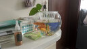 易萌 小鱼缸 金鱼缸 小型桌面创意鱼缸 水培容器 水培植物花瓶 家用客厅鱼缸 圆形玻璃鱼缸20cm 实拍图