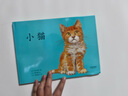 小猫（爱心树童书） 实拍图