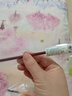 樱花(SAKURA)马毛画笔 水粉油画笔丙烯长杆美术颜料刷初学者水彩笔圆头0号美术写生 实拍图