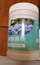 京农研农科院蔬菜种子大叶香菜四季小葱鸡毛菜红苋菜芝麻菜空心菜种籽孑 京全球结球生菜 1克 实拍图