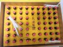 九港集团冬虫夏草口服液增强免疫中老年营养品术后恢复补品送礼长辈高端礼 【增强免疫   冬虫夏草口服液营养品】 60支*1盒 实拍图