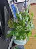 益馨荣 铁艺带挂钩三角花架置物架办公桌办公室收纳挂架简约现代桌面架 升级版三角架4.6cm宽银色 实拍图