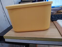 静闲居桌面杂物收纳盒带盖塑料零食整理筐抽屉玩具篮化妆品储物收纳箱 【带盖】樱草黄小号加高1个 实拍图
