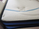 瑶海乳胶席梦思床垫独立袋装弹簧1.8x2米双面睡主卧室椰棕床垫子 双人 蛋壳棉+乳胶+邦尼尔弹簧（21CM） 1200*2000 实拍图