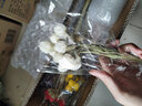 干花花束植物干花真花永生花勿忘我干花多色草莓果干花办公室客厅茶几餐桌摆放装饰艺术插花小花束 含陶瓷花瓶4色草莓果（共48支） 实拍图