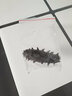 参王朝 大连底播淡干海参干货简装辽刺参海鲜水产礼盒 御享 冰袋 4g*1袋 单拍不发货 实拍图