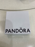 潘多拉（PANDORA）迪士尼皮克斯飞屋环游记串饰五彩珐琅热气球diy串珠生日礼物 均码 实拍图