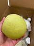 富祺元河北赵州赵县雪花梨新鲜水果冰糖雪梨煲汤秋梨膏脆甜多汁梨子 精品雪花梨 9斤装 实拍图
