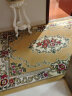 月之吻客厅茶几地毯卧室地毯欧式风格威尔顿机织地毯 驼色 155*228CM 实拍图