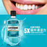 李施德林 (Listerine) 漱口水冰蓝劲爽清新口气500mL*2支装+口喷7.7ml*2 实拍图