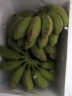 帆儿庄园新鲜广西小香蕉水果小米蕉蕉新鲜水果整箱当季鲜苹果蕉自然熟粉蕉 4.5kg 晒单实拍图