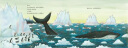 小海螺和大鲸鱼(聪明豆绘本系列精装珍藏版) 实拍图