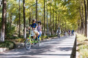 欧派帝22英寸三人亲子多双人骑自行车带小孩家庭旅行景点观光自行车 浅绿色 22寸 晒单实拍图