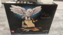 乐高（LEGO）积木 76391 海德薇猫头鹰 哈利波特系列玩具粉丝收藏生日礼物 晒单实拍图