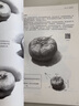 素描入门自学零基础  临摹静物石膏几何体 人物头像五官速写 结构素描基础教程 儿童铅笔美术画画册 实拍图