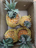 粤品广东湛江徐闻香水菠萝海南新鲜金钻凤梨装云南小菠萝水果 5斤大果 实拍图