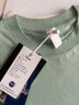 NASA GISS重磅260g纯棉短袖t恤男纯色圆领厚实不透纯白打底衫男女体恤上衣 浅绿色 S体重85-110斤 实拍图