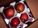 四叔公果蔬四川盐源丑苹果 现货现发红富士冰糖心苹果 整箱当季新鲜水果 8.5斤 75mm(含)-80mm(不含) 实拍图