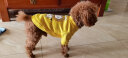 嬉皮狗（hipidog） 狗狗衣服秋冬季泰迪衣服小型犬保暖打底衫防掉毛比熊幼犬衣服 黄色条纹 L (建议体重8-12斤) 实拍图