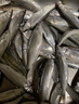 舟三公拉丝粉小麦蛋白状态粉散装钓鱼添加剂鱼饵料中长丝100目拉大球 【袋装】500克【100目】 实拍图