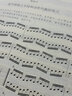 正版什密特钢琴五手指练习曲 作品16 钢琴音阶手指基础练习曲教材 施密特钢琴五指练习曲教材 人民音乐社 儿童钢琴集曲曲谱教程书 实拍图