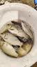 海迪红虫伴侣活饵粘粉红虫拉饵野钓鱼虾拉伴侣虾滑饵春钓黑坑鲤鲫鱼饵 红虫伴侣【200ml/瓶】 实拍图