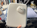 极想（GeekShare）iPad Pro/Air5收纳包保护套11英寸平板电脑配件内胆包 白熊君防摔硬壳便携手提保护包 晒单实拍图