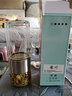 凌川 玻璃杯男女士时尚便携茶水分离泡茶杯双层耐热水杯花茶杯 本色 350ml 实拍图
