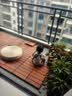 联至户外阳台木地板室外防腐木菠萝格拼装diy浴室卫生间庭院实木地板 龙脑香 30*30cm 实拍图