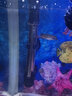 佳宝（JEBO）鱼缸水族箱 304不锈钢加热棒外控3028/3068系列自动恒温器加热器 3028-50W 实拍图