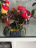 Disney夏季鹦鹉喜鹊儿童电动声控小鸟玩具感应玩具鸟双鸟情侣对鸟鸟笼 双玫瑰鹦鹉红色 实拍图