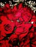 I Do【定制】Be My Love系列18K金钻石戒指 扭臂女戒求婚生日节日礼物  11号/18K金/30分/SI/I-J改圈±2 实拍图