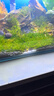 疯狂水草（FKSC）莫斯水草活体植物鱼缸造景底部前景套餐懒人阴性莫斯树沉木水榕 新手推荐莫斯组合 实拍图