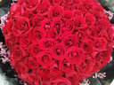 浪漫季节鲜花速递同城配送红玫瑰花束表白女友生日礼物结婚纪念日全国花店 99朵红玫瑰-满天星款 今日达-【可预约送花时间】 实拍图