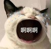 诺宜月子装月子服纯棉哺乳衣孕产妇家居服睡衣J352512印花L 实拍图