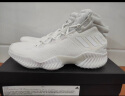 adidas PRO BOUNCE团队款实战篮球运动鞋男子阿迪达斯官方 白 48(295mm)推荐选大半码 实拍图