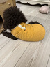 宠它星球狗狗衣服秋冬款猫咪泰迪小狗比熊冬季牵引幼犬棉衣秋季马甲西高地 桔色-菱形纹可牵引棉衣 XL【推荐9-12斤】可牵引设计 实拍图