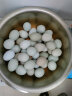 京营速发新鲜绿壳土鸡蛋乌鸡蛋农家散养绿壳初生鸡蛋草鸡蛋粮食鸡蛋 绿壳蛋 20枚(初生小蛋 ) 实拍图